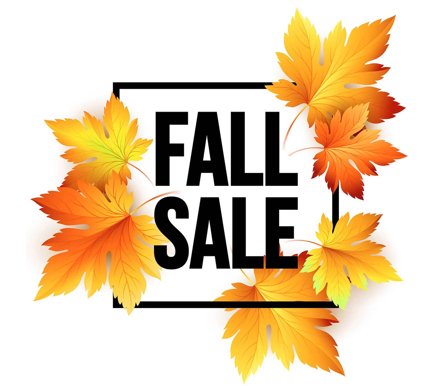 Black text that says Fall Sale and is surrounded by autumn leaves.